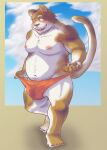  2021 anthro belly blush brown_body brown_fur bulge clothing domestic_cat felid feline felis fur humanoid_hands kemono male mammal moobs navel nipples ojijinotete overweight overweight_male solo underwear white_body white_fur 