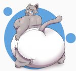  2021 4_fingers anthro big_butt big_diaper blue_eyes butt clean_diaper diaper diaper_only domestic_cat felid feline felis fingers fur girly grey_body grey_fur grey_hair hair huge_butt law_azure looking_back male mammal moobs obese obese_anthro obese_male overweight overweight_anthro overweight_male pink_nose rear_view simple_background smile solo thick_thighs 