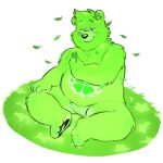  2021 anthro belly black_nose care_bears clover four_leaf_clover good_luck_bear green_body male mammal overweight overweight_male shyybuchi sitting solo ursid 