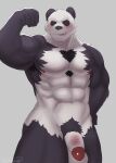  2021 abs absurd_res anthro armpit_hair balls barazoku beastars biceps big_muscles black_sclera blush body_hair chest_hair flaccid flexing genitals giant_panda gouhin grey_background hand_on_hip hi_res humanoid_genitalia humanoid_penis jayjay_(artist) looking_at_viewer male mammal muscular muscular_anthro muscular_male navel nipples nude pecs penis pubes simple_background smile smirk solo standing ursid 