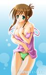  breasts brown_hair green_eyes nipples sophia_esteed star_ocean 