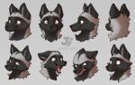  16:10 2021 angry anthro blue_eyes canid canine ears_back expression_sheet fox jishinu male mammal open_mouth pivoted_ears red_fox silver_(jishinu) silver_fox simple_background smile solo surprise widescreen 