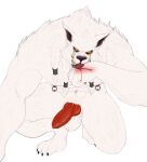  absurd_res anthro black_nose blood bodily_fluids canid canine canis claws fangs fur genitals genn_greymane hi_res islate_(artist) knot licking looking_at_viewer male mammal muscular nipple_piercing nipples penis piercing pubes tongue tongue_out white_body white_fur wolf yellow_eyes 