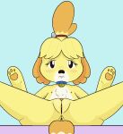  accessory animal_crossing anthro anus bell blush canid canine canis chest_tuft clitoris collar domestic_dog female flat_chested genitals hair_accessory happy_harvey isabelle_(animal_crossing) mammal nintendo nipples nude pawpads phone_drawing pussy sitting solo spread_legs spreading tuft video_games 