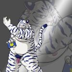  1:1 anthro balls belly blue_body blue_fur edit felid fur genitals humanoid_hands kemono male mammal mind_drive mizuse_higomaru moobs navel nipples overweight overweight_anthro overweight_male pantherine penis solo tiger uncensored white_body white_fur 