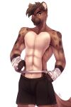  2020 abs anthro brown_body brown_fur brown_hair clothed clothing digital_media_(artwork) fur hair hi_res hyaenid kristiana_puff looking_at_viewer male mammal solo 