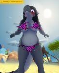  3d_(artwork) absurd_res anthro beach big_breasts bikini bit_synergy blush bottomwear breasts clothed clothing concerned detailed_background digital_media_(artwork) disappearing_clothing dragon embarrassed english_text fangs female fur furred_dragon garry&#039;s_mod glitch grey_body grey_fur hair hi_res horn looking_at_viewer looking_down missing_texture multicolored_body multicolored_fur outside plant purple_eyes samantha_(bit-synergy) sand seaside sky solo swimwear text thick_thighs topwear tree two_tone_body two_tone_fur warning_sign 