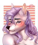  2019 black_nose canid canine canis digital_media_(artwork) domestic_dog eyebrows eyelashes fur grey_body grey_fur hair headshot_portrait kristiana_puff mammal portrait purple_eyes purple_hair 