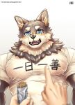  2021 absurd_res anthro biceps blue_eyes brown_body brown_fur canid canine canis clothed clothing disembodied_hand duo fur hi_res male mammal muscular ogami_aratsuka rotsw simple_background solo_focus virtual_youtuber wolf 