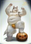  2021 absurd_res anthro belly black_nose blush bulge cai1448331577 canid canine canis clothing domestic_dog food fruit fur grey_body grey_fur hi_res humanoid_hands kemono male mammal moobs navel nipples overweight overweight_male plant pumpkin simple_background solo underwear white_body white_fur 