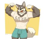  2021 anthro brown_body brown_fur canid canine canis clothing fur male mammal muscular muscular_anthro muscular_male ogami_aratsuka ray_theoillamp simple_background solo virtual_youtuber wolf 
