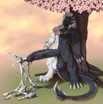  4_toes 5_fingers abs absurd_res anthro balls biceps big_balls big_penis biped black_balls black_body black_cum black_fur black_penis black_sclera black_tail bodily_fluids cherry_blossom cherry_tree claws colored_cum cum cum_drip cum_on_ground cum_strand cum_string day detailed_background digital_media_(artwork) digitigrade dragon dripping ejaculation erection excessive_cum feet finger_claws fingers front_view fruit_tree full-length_portrait fur furred_dragon genital_fluids genitals glistening glistening_balls glistening_genitalia glistening_penis glowing glowing_eyes grass hair hands-free hi_res horn huge_balls huge_penis humanoid_genitalia humanoid_hands humanoid_penis jewelry kenjiii long_penis long_tail male mane mane_hair monotone_hair multicolored_body multicolored_cum multicolored_fur muscular muscular_anthro muscular_male necklace nude orgasm outside pecs penis plant portrait quads scalie snout solo spontaneous_ejaculation standing tail_mane tail_tuft three-quarter_view toe_claws toes tree tuft two_tone_body two_tone_cum two_tone_fur two_tone_tail unusual_bodily_fluids unusual_cum unusual_genital_fluids vein veiny_penis western_dragon white_balls white_body white_claws white_fur white_hair white_tail wingless_dragon yellow_eyes 