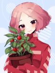  1girl absurdres blush brown_eyes brown_hair closed_mouth emi_star eyebrows_visible_through_hair flowerpot forehead gym_uniform head_tilt highres hug jacket lips long_sleeves looking_at_viewer object_hug okumura_haru persona persona_5 pink_lips plant potted_plant red_jacket short_hair smile solo symbol-only_commentary tomato track_jacket uniform upper_body 