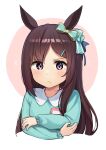  1girl absurdres animal_ears badge bangs blush brown_hair button_badge child closed_mouth collared_shirt commentary_request cropped_torso crossed_arms dot_nose ear_bow frown green_shirt hair_ornament hairclip highres horse_ears inuyabu_cc long_hair long_sleeves looking_at_viewer mejiro_dober_(umamusume) purple_eyes shirt solo two-tone_background umamusume upper_body younger 