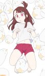  1girl absurdres alcor_(little_witch_academia) artist_name bad_id bad_pixiv_id bangs barefoot belly bird brown_hair chicken from_above full_body hand_up head_tilt highres kagari_atsuko little_witch_academia long_hair looking_at_viewer lying navel once_11h open_mouth red_eyes red_shorts shirt short_sleeves shorts solo tied_hair white_background white_shirt 