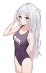  1girl absurdres bangs bare_arms bare_shoulders black_swimsuit blue_archive blush breasts closed_mouth collarbone covered_navel eyebrows_visible_through_hair grey_hair hand_up highres hina_(blue_archive) long_hair looking_at_viewer nagisa_(cxcx5235) name_tag one-piece_swimsuit one_side_up parted_bangs purple_eyes school_swimsuit simple_background single_hair_intake small_breasts solo swimsuit very_long_hair white_background 