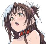  1girl arad_baranga bare_shoulders brown_hair collar cropped hair_between_eyes heart heart-shaped_pupils highres long_hair red_collar saliva saliva_trail simple_background solo spiked_hair sweat symbol-shaped_pupils teeth to_love-ru to_love-ru_darkness tongue upper_body upper_teeth white_background yellow_eyes yuuki_mikan 
