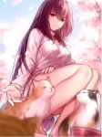  1girl absurdres animal_ears bangs bare_legs barefoot bowl breasts cat cherry_blossoms eyebrows_behind_hair eyebrows_visible_through_hair fate/grand_order fate_(series) hair_between_eyes highres long_hair looking_at_viewer purple_eyes purple_hair qiongsheng scathach_(fate) smile solo squatting sweater 
