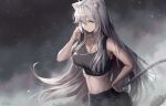  1girl absurdres animal_ears bare_arms bare_shoulders breasts cleavage commentary_request crop_top dog_tags grey_eyes hair_down hand_on_hip hand_up highres hololive ioriwu8 large_breasts lion_ears lion_tail long_hair looking_at_viewer midriff navel shishiro_botan silver_hair smile solo sports_bra stomach tail upper_body very_long_hair virtual_youtuber 