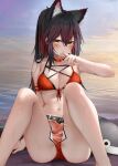  1girl animal_ear_fluff animal_ears arknights arm_strap arm_up ass bandaid bandaid_on_leg bangs bare_arms bare_shoulders beach belt bikini black_hair blush breasts choker cleavage colored_inner_hair covering_mouth extra_ears front-tie_bikini front-tie_top hair_between_eyes halterneck highres knees_up large_breasts long_hair looking_at_viewer medium_breasts multicolored_hair navel orange_eyes outdoors ponytail red_bikini red_choker red_hair red_nails ru_zhai sand see-through sidelocks sitting solo stomach streaked_hair string_bikini stuffed_animal stuffed_shark stuffed_toy swimsuit texas_(arknights) thighs two-tone_hair water wet wolf_ears yellow_eyes 