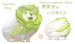  :p animal arrow_(symbol) cabbage commentary creature dog english_text food good_ass_day green_theme highres multiple_views napa_cabbage no_humans oyasai_yousei_to_manabu_yasai_no_chishiki_zukan ponkichi_(ponkichim) simple_background tail tail_wagging tongue tongue_out translated vegetable white_background 