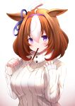  1girl absurdres animal_ears bangs blush breasts brown_background brown_hair commentary_request eyebrows_visible_through_hair food food_in_mouth gradient gradient_background hair_between_eyes hairband hands_up highres horse_ears large_breasts long_sleeves meisho_doto_(umamusume) mouth_hold multicolored_hair pocky puffy_long_sleeves puffy_sleeves purple_eyes purple_hairband ribbed_sweater shibakame sleeves_past_wrists solo sweater turtleneck turtleneck_sweater two-tone_hair umamusume upper_body white_background white_hair white_sweater 