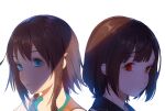  2girls a.i.c.o._incarnation amy_(suisei_no_gargantia) braid brown_hair closed_mouth crossover green_eyes hair_ornament highres looking_at_viewer multiple_girls red_eyes short_hair simple_background suisei_no_gargantia tachibana_aiko white_background yoji_(pl05030786) 