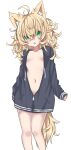  1girl absurdres animal_ear_fluff animal_ears black_cardigan blonde_hair breasts cardigan fang feet_out_of_frame fox_ears fox_girl fox_tail green_eyes hair_between_eyes highres long_hair long_sleeves messy_hair naked_cardigan navel open_cardigan open_clothes open_mouth original partially_unbuttoned shiren_(utumu) simple_background small_breasts solo tail white_background 