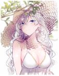  1girl anastasia_(fate) anastasia_(swimsuit_archer)_(fate) bangs bare_shoulders blue_eyes blush braid branch breasts cleavage closed_mouth collarbone dress dress_swimsuit eyebrows_visible_through_hair eyes_visible_through_hair fate/grand_order fate_(series) hair_ornament hat large_breasts leaf long_hair looking_at_viewer sleeveless sleeveless_dress solo star_(symbol) star_hair_ornament straw_hat sun_hat sweatdrop swimsuit twin_braids upper_body very_long_hair wani_(mezo) white_dress white_hair 