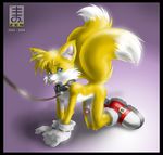  all_fours canine collar fox leash male mammal miles_prower penis sega solo sonic_(series) sonic_team tails zen 