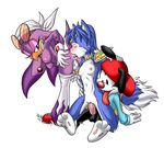  animaniacs crossover krystal palcomix sonic_riders sonic_team star_fox wakko_warner wave_the_swallow 