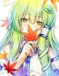  1girl :d arm_up autumn_leaves bangs blush breasts collared_shirt commentary covering_mouth detached_sleeves eyebrows_visible_through_hair eyelashes fingernails frog_hair_ornament green_eyes green_hair hair_ornament here_(hr_rz_ggg) holding holding_leaf kochiya_sanae large_breasts leaf nontraditional_miko open_mouth shiny shiny_hair shirt sidelocks simple_background smile snake_hair_ornament solo standing teeth touhou upper_body upper_teeth white_background wide_sleeves wing_collar 