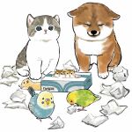  animal_focus beak bird cat dog feathers hamster highres juno_(mofu_sand) kitten no_humans original parakeet puppy shiba_inu tissue_box two-tone_fur 