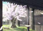  abandoned absurdres ame246 building cherry_blossoms commentary_request falling_petals grass highres no_humans original petals pillar plant rock scenery sky tree window 