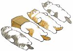  :&lt; animal animal_focus animal_hands bag bag_on_head cat cat_paws cat_tail closed_eyes highres juno_(mofu_sand) kitten lying no_humans on_back original sleeping tail white_background 