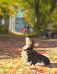  1girl animal_focus autumn_leaves bench blurry blurry_background bug butterfly dog highres leaf nature original outdoors painting park park_bench puppy snatti tree welsh_corgi 