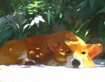  animal_focus dappled_sunlight dog leaf no_humans orange_fur original outdoors painting resting snatti sunlight two-tone_fur welsh_corgi white_fur 