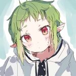  1girl closed_mouth commentary forehead gijxgij green_hair head_tilt hood hood_down hooded_jacket jacket long_sleeves looking_at_viewer mushoku_tensei pointy_ears red_eyes sleeves_past_fingers sleeves_past_wrists solo sylphiette_(mushoku_tensei) upper_body white_jacket 