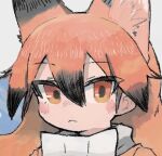  1girl animal_ear_fluff animal_ears black_hair blush bow buttergirl_02 closed_mouth cropped face hair_between_eyes kemono_friends lowres multicolored_hair orange_eyes orange_hair red_fox_(kemono_friends) solo upper_body white_bow 