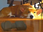  animal_focus dog dog_treat no_humans orange_fur original painting sketch sleeping snatti two-tone_fur welsh_corgi 