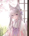  1girl animal_ear_fluff animal_ears backlighting bangs blurry blurry_background bow branch commentary_request day depth_of_field eyebrows_visible_through_hair fang flower fox_ears grey_hair guo582 hair_between_eyes hair_flower hair_ornament hakama hakama_skirt highres japanese_clothes kimono long_hair long_sleeves looking_at_viewer open_mouth original pink_flower purple_bow purple_eyes purple_hakama skirt solo very_long_hair white_kimono wide_sleeves x_hair_ornament 