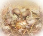  animal animal_focus bird cat closed_eyes eurasian_tree_sparrow feathers fluffy nest no_humans original sleeping sparrow yoshiyanmisoko 