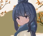  1girl autumn autumn_leaves bangs blue_hair blue_scarf branch check_commentary closed_mouth commentary commentary_request eyebrows_visible_through_hair from_side green_background hair_bun light_blush long_hair looking_at_viewer multicolored_background nyagonya21 outdoors purple_eyes scarf shima_rin solo upper_body winter_clothes yurucamp 