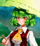  1girl ascot bangs blush breasts buttons collar collared_shirt eyebrows_visible_through_hair green_background green_hair hair_between_eyes hand_up kazami_yuuka long_sleeves looking_at_viewer medium_breasts open_clothes open_mouth open_vest plaid plaid_vest qqqrinkappp red_eyes red_vest shikishi shirt short_hair simple_background solo touhou traditional_media umbrella upper_body vest white_shirt white_sleeves yellow_neckwear 