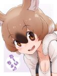  1girl animal_ears bangs breasts brown_eyes brown_hair cleavage collarbone da_(bobafett) eyebrows_visible_through_hair eyelashes eyes_visible_through_hair fur_collar gambian_pouched_rat_(kemono_friends) grey_hair hair_between_eyes kemono_friends leaning_forward long_hair looking_at_viewer mouse_ears mouse_girl multicolored_hair open_mouth parted_bangs ponytail shirt smile solo translated upper_body vest 