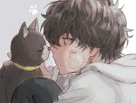  1boy amamiya_ren bandage_on_face bandages bangs black_cat black_eyes black_hair bruise bruise_on_face cat closed_eyes closed_mouth collar commentary_request from_side hair_between_eyes hood hood_down hoodie injury male_focus morgana_(persona_5) noses_touching paw_print persona persona_5 portrait profile sawa2 simple_background white_hoodie yellow_collar 