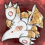  abstract_background anus butt claws clitoris female low_res nintendo pawpads pok&#233;mon pokemon presenting presenting_hindquarters pussy sandshrew solo spread_legs spreading squinting unknown_artist video_games 