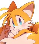  1boy blue_eyes blush body_fur commentary_request fox_boy fox_tail furry furry_male gloves looking_at_viewer male_focus misuta710 multiple_tails simple_background solo sonic_(series) tail tails_(sonic) two_tails white_background white_gloves 