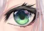  1girl close-up eye_focus green_eyes grey_hair hololive looking_at_viewer mikan_(chipstar182) shirogane_noel solo virtual_youtuber 