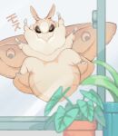  animal bug fluffy highres indoors looking_at_viewer moth no_humans ootani_eiti original oversized_animal oversized_insect plant potted_plant window 